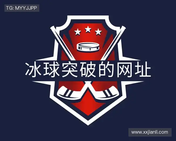 介绍mg冰球突破官网